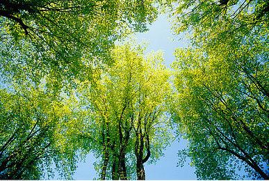 《黑神话》即将解锁 冯骥：适度游戏 不必着急通关